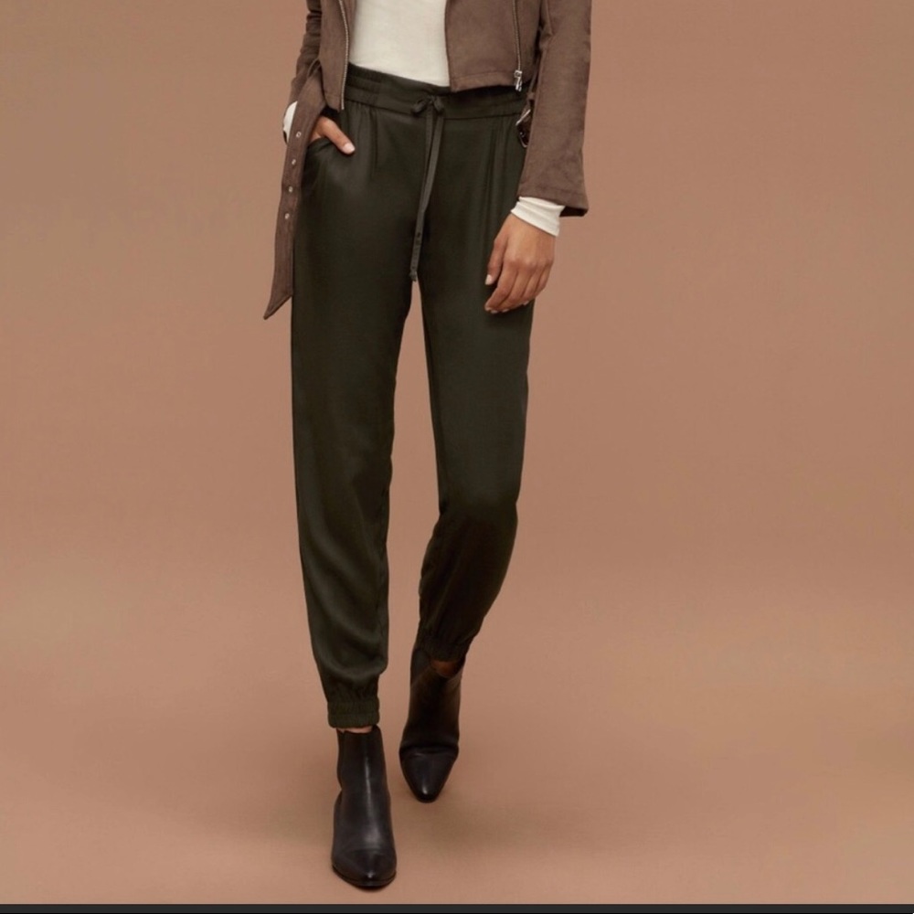 Aritzia pants